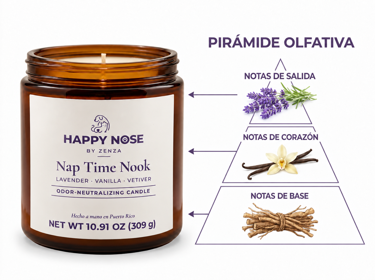 Pirámide olfativa de Nap Time Nook: lavanda, vainilla y vetiver