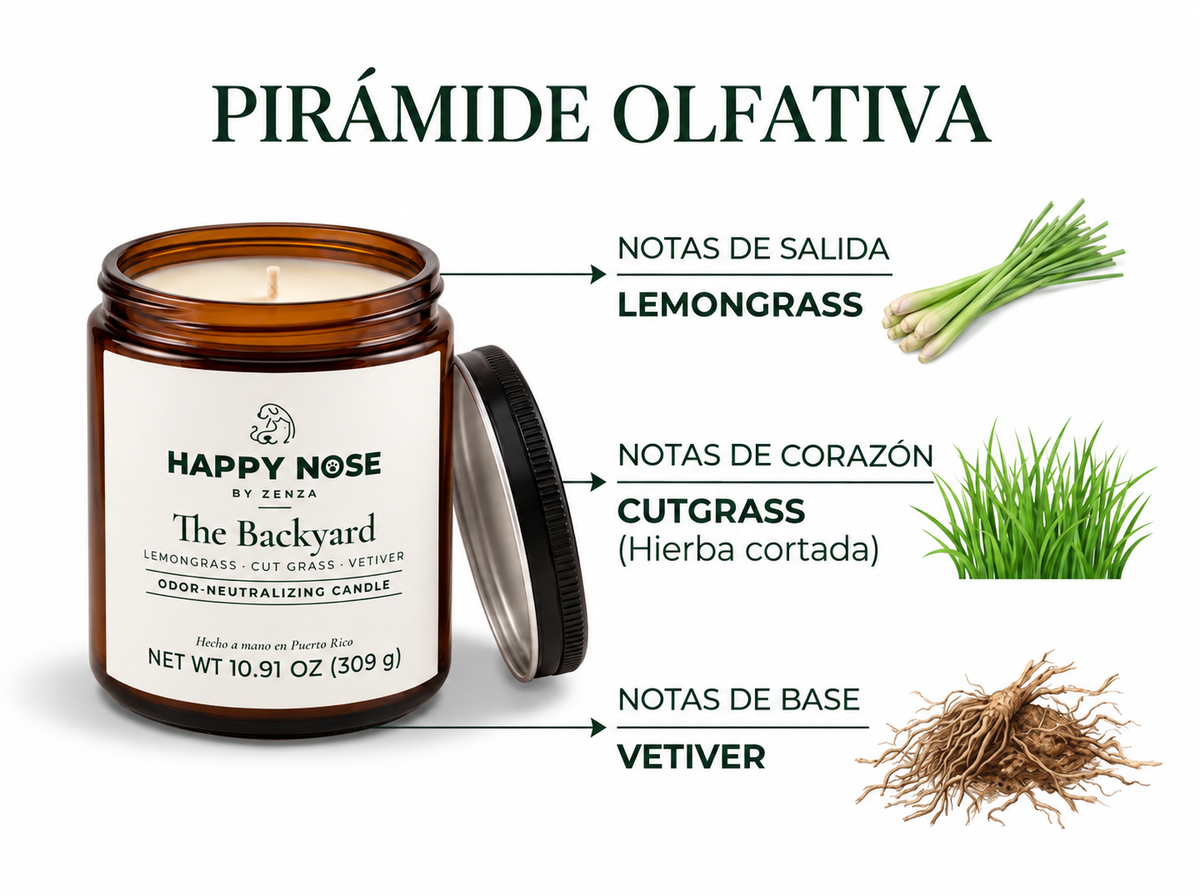 Pirámide olfativa de The Backyard: lemongrass, grama recién cortada y vetiver