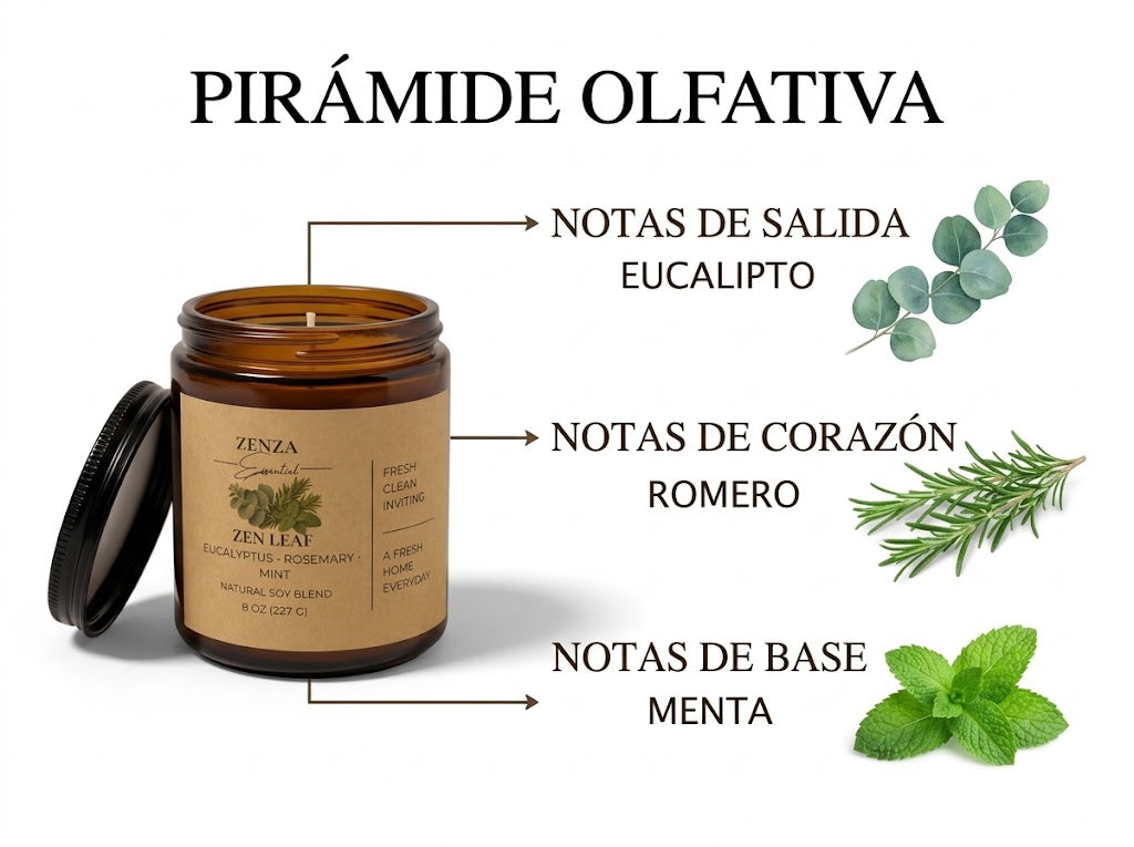Pirámide olfativa de Zen Leaf: eucalipto, romero y menta